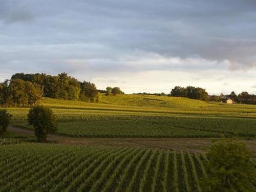 Chateau La Rose Perriere Lussac  Kültér fotó